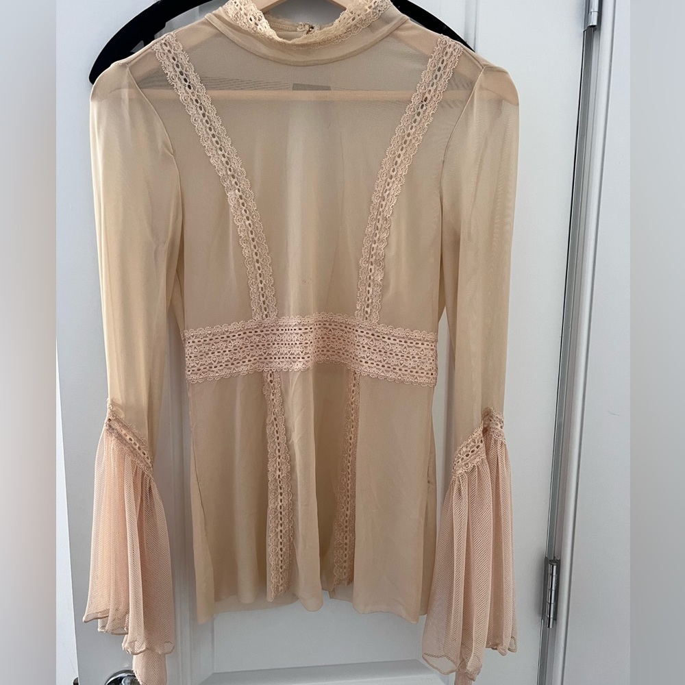 Nasty gal victorian mesh top